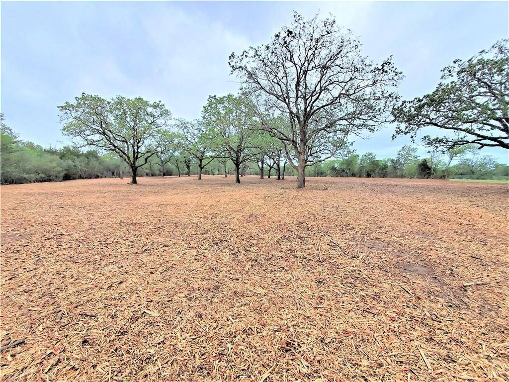 Rosanky, TX 78957,Lot 7 Jeddo RD