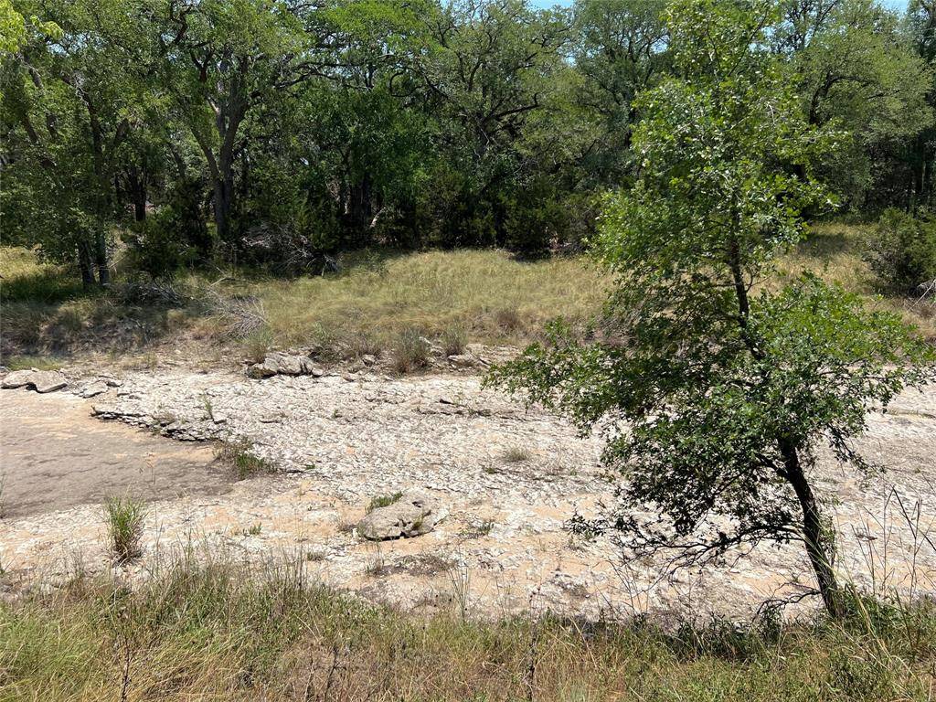 Blanco, TX 78606,0 Narrows RD