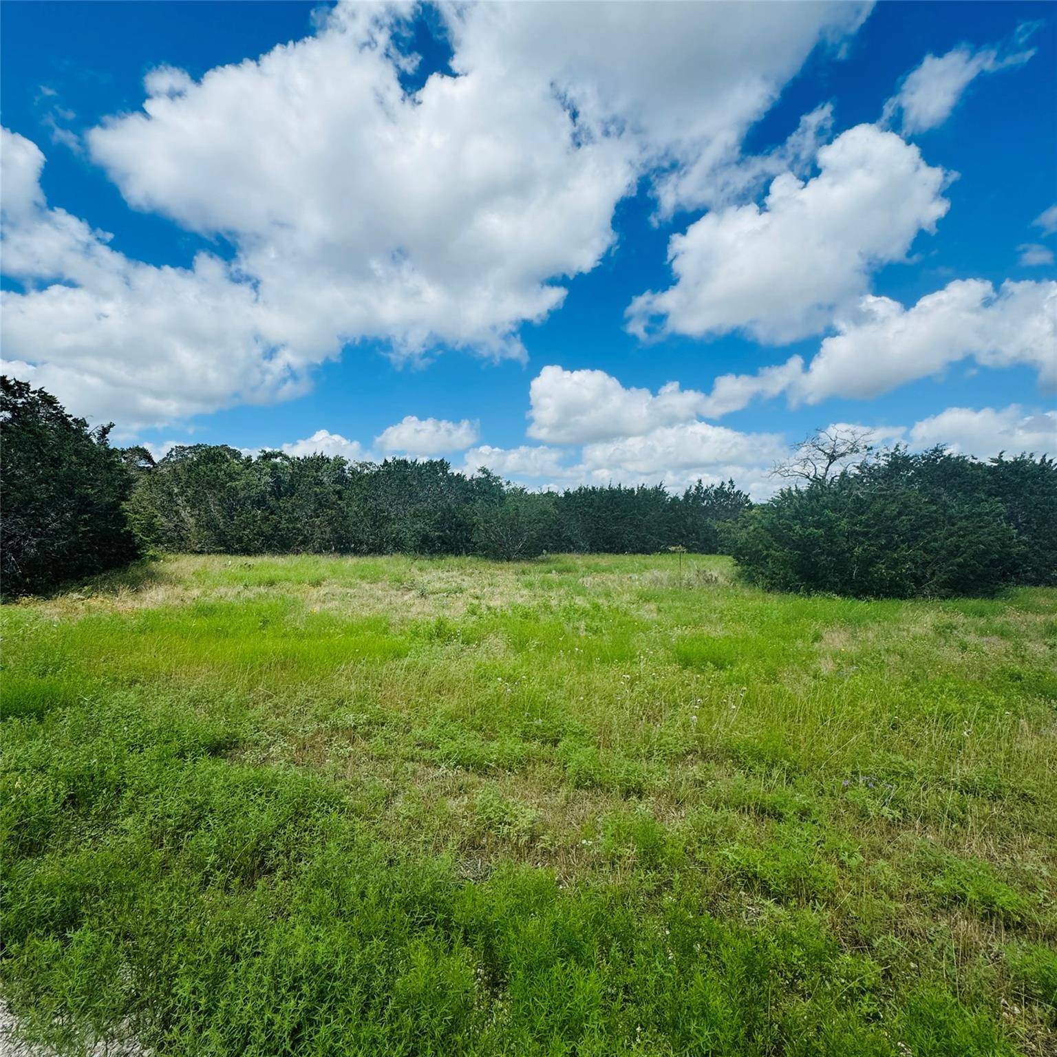 Bertram, TX 78605,Lot 7 Riparian Elm RD