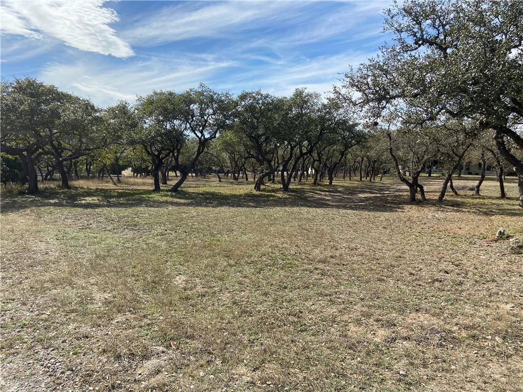 Dripping Springs, TX 78620,0 Running Deer LN