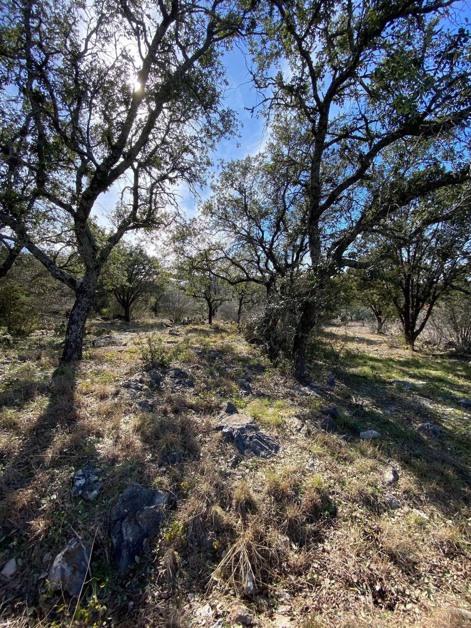 Horseshoe Bay, TX 78657,Lt 45009 Scarlet Sun