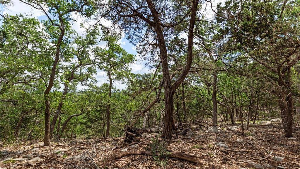 Spring Branch, TX 78070,Address not disclosed