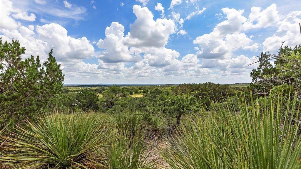 Spring Branch, TX 78070,Address not disclosed