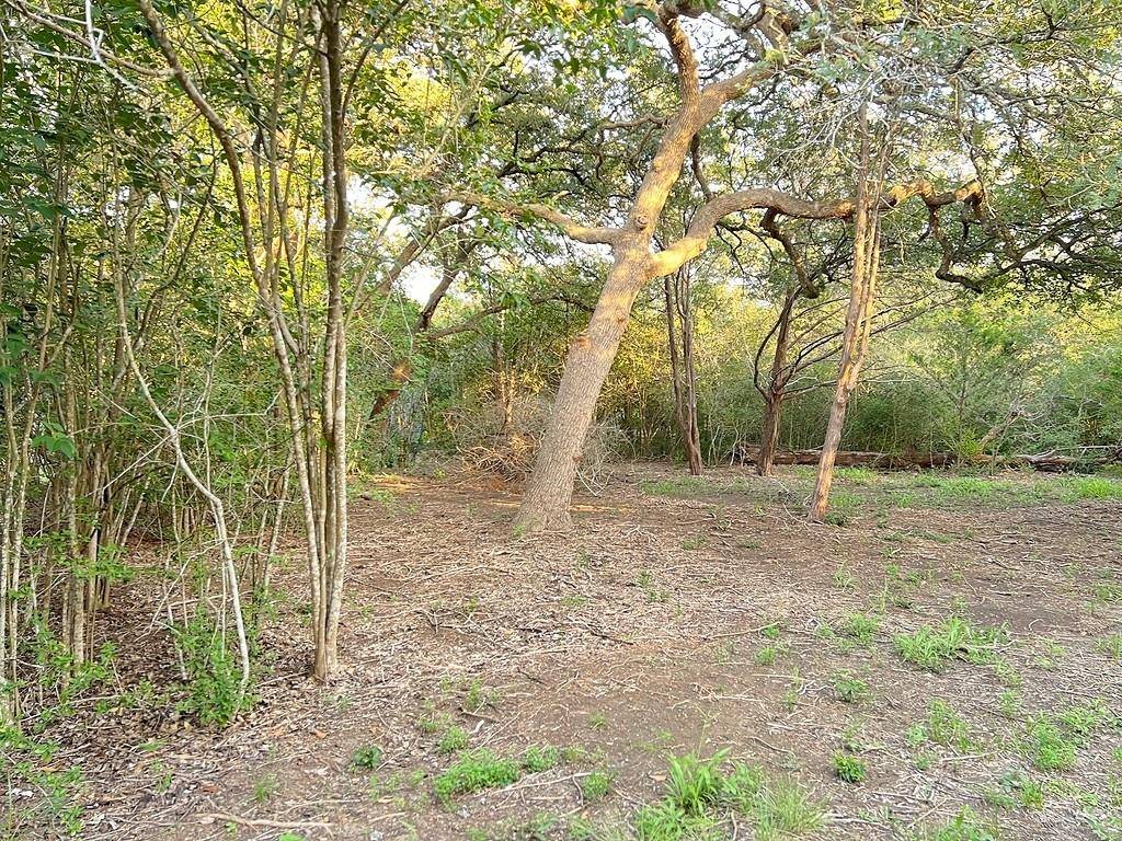 Smithville, TX 78957,117 Caddo