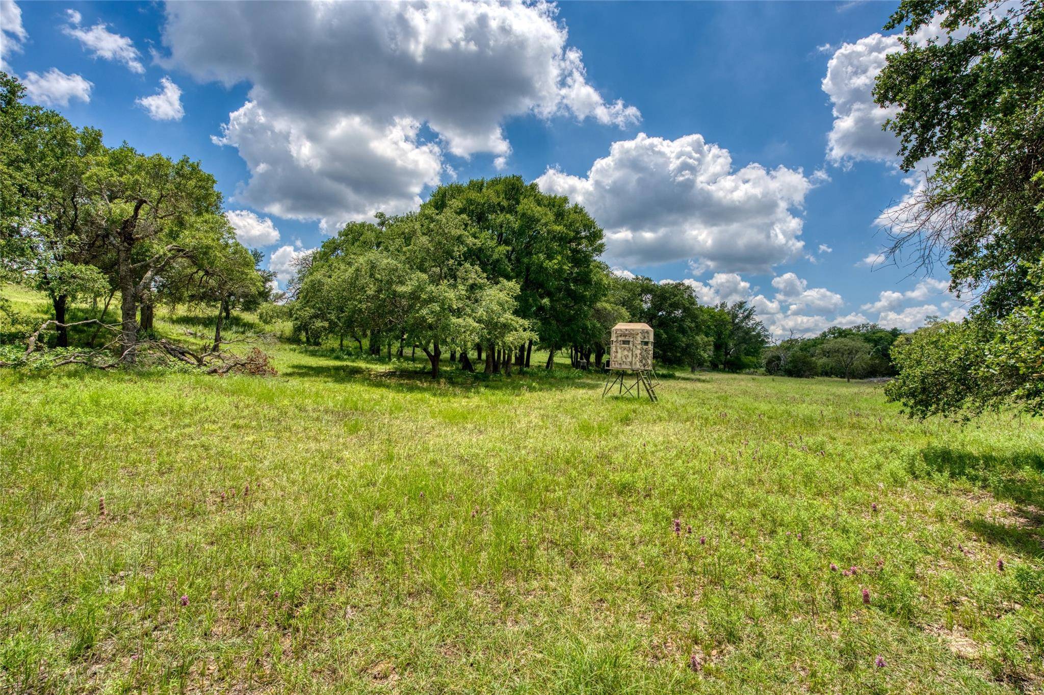 Briggs, TX 78608,9A-5 Miller Creek BLF