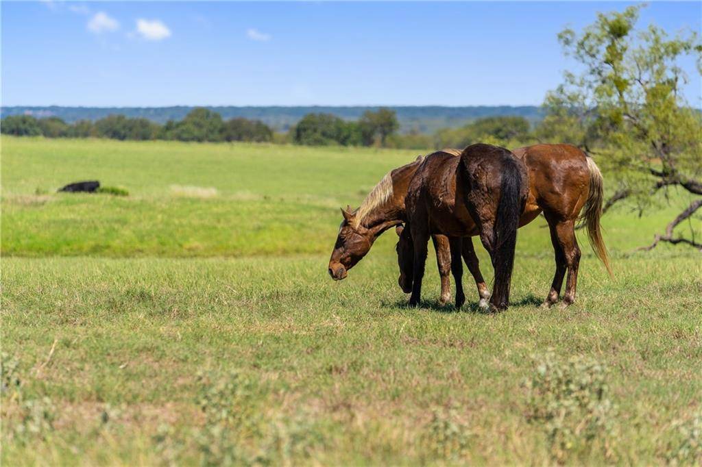 San Saba, TX 76877,00 FARM MARKET 500