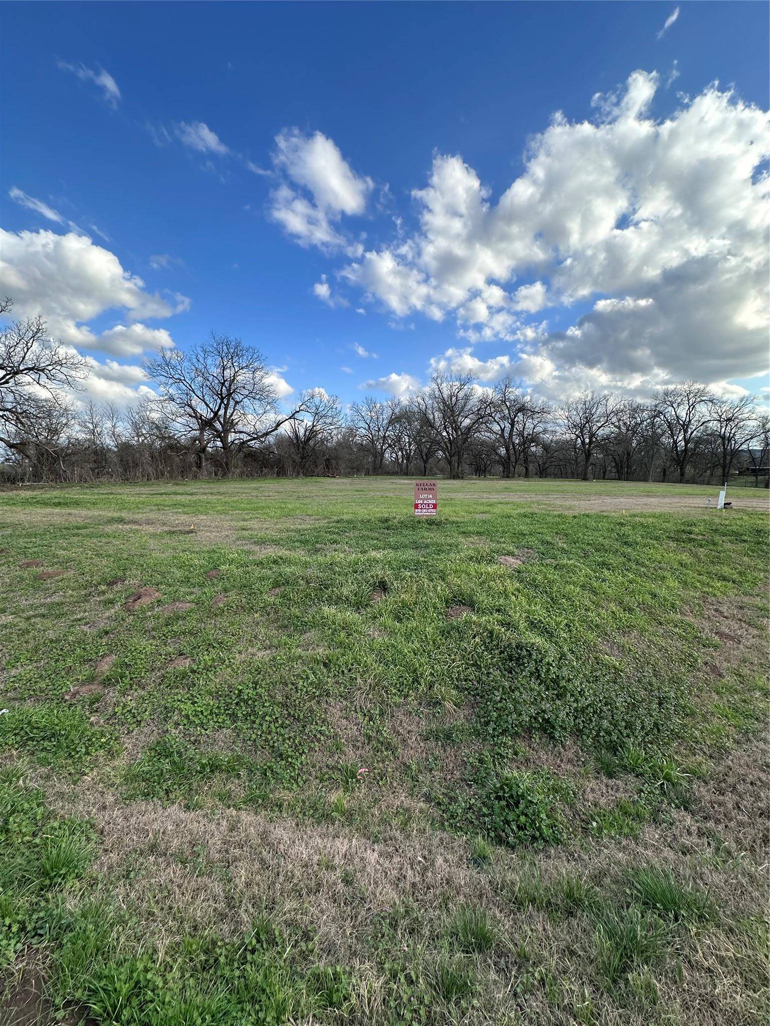 Smithville, TX 78957,Lot 14 Hydrangea DR