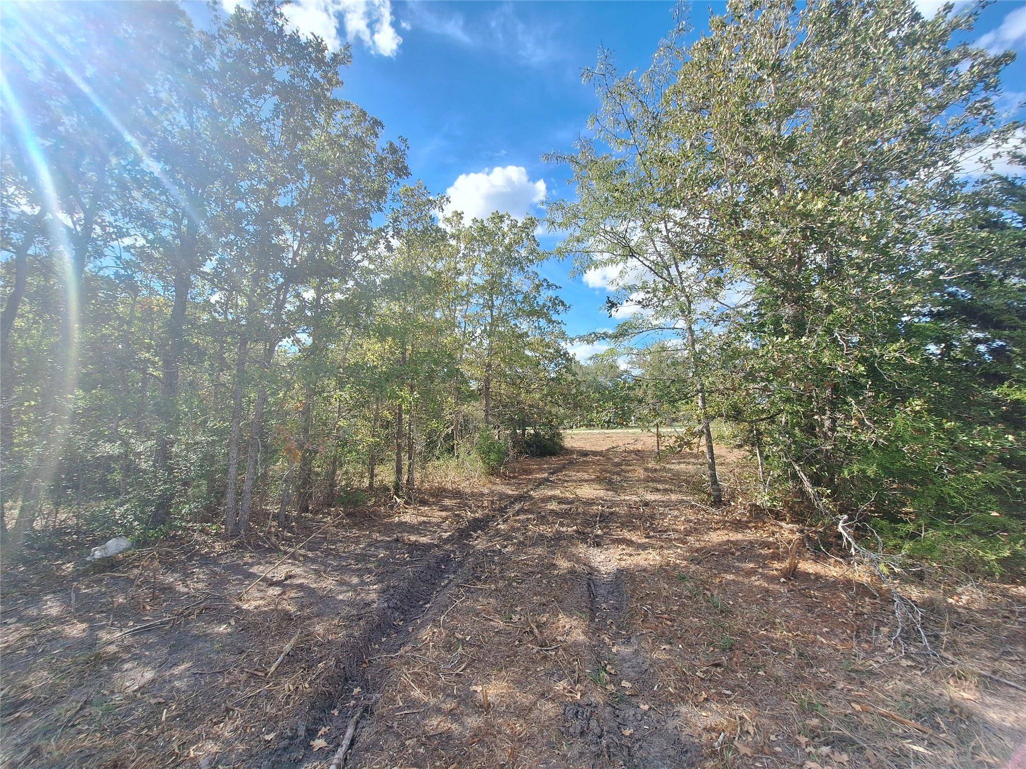 Caldwell, TX 77836,1088 Timber Ridge #Lot 9