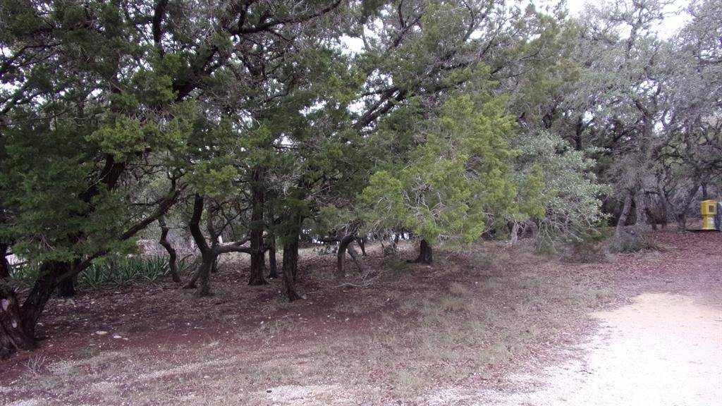 Canyon Lake, TX 78133,Lot 46 Mountain Wood