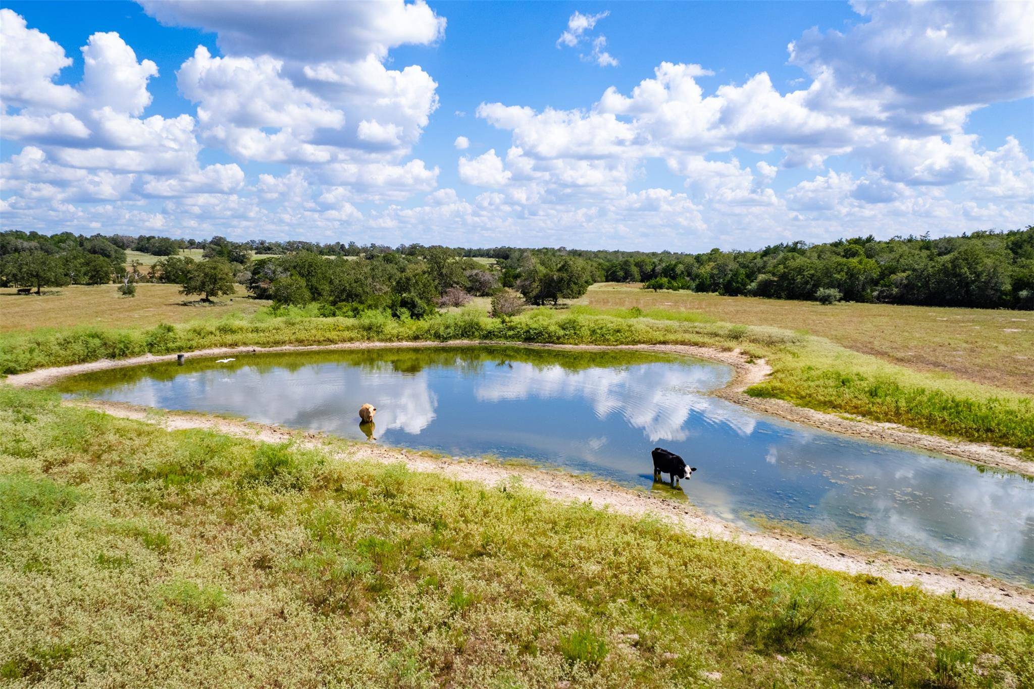 Rosanky, TX 78953,3987 S Highway 304
