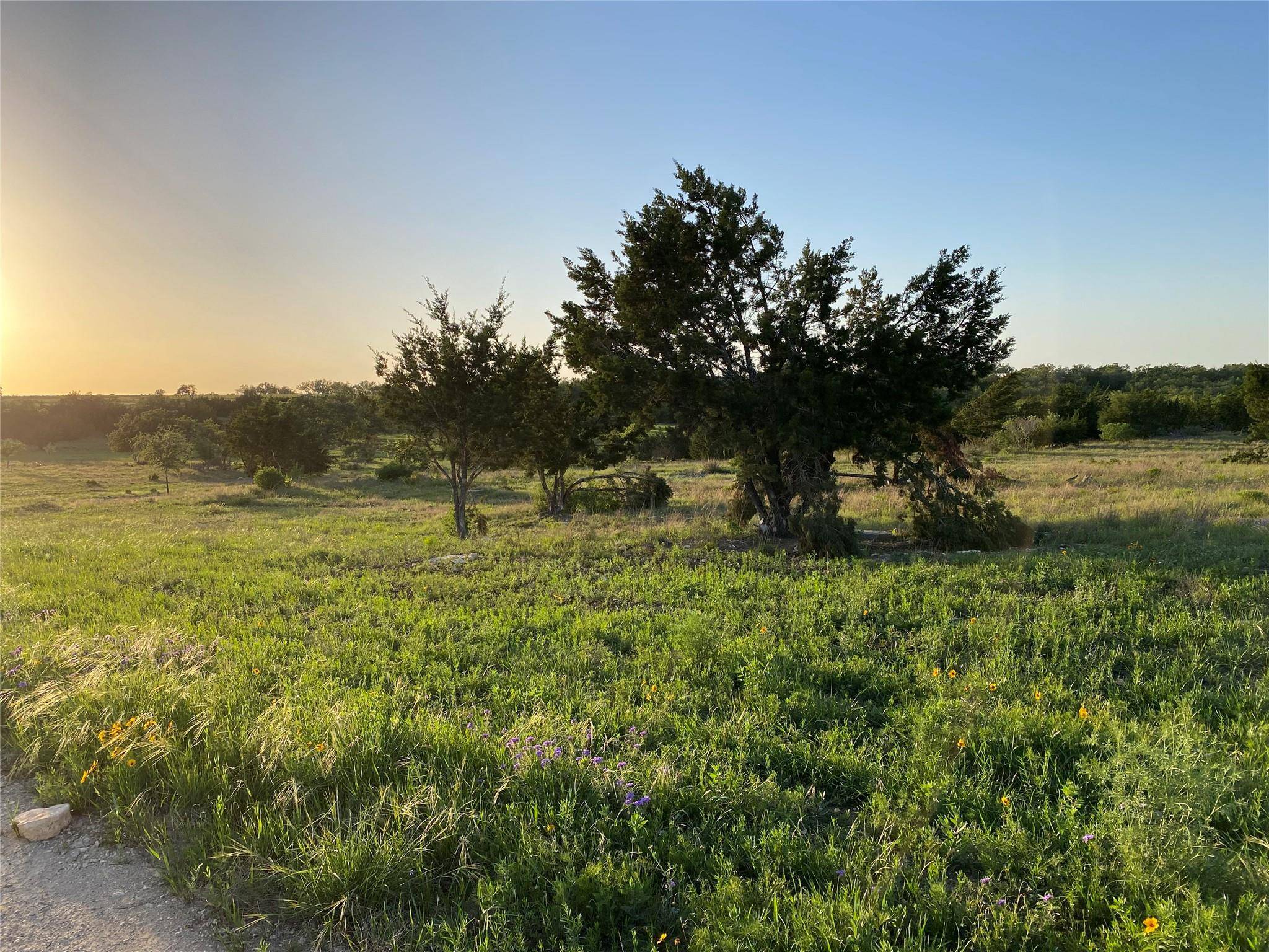 Johnson City, TX 78636,Lot47 E Flying Owl DR