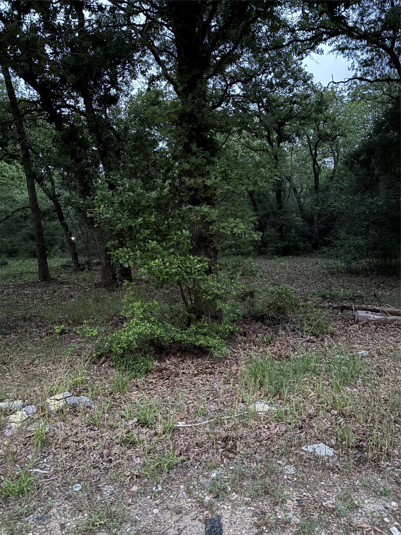 Rockdale, TX 76567,731 Stokes ST