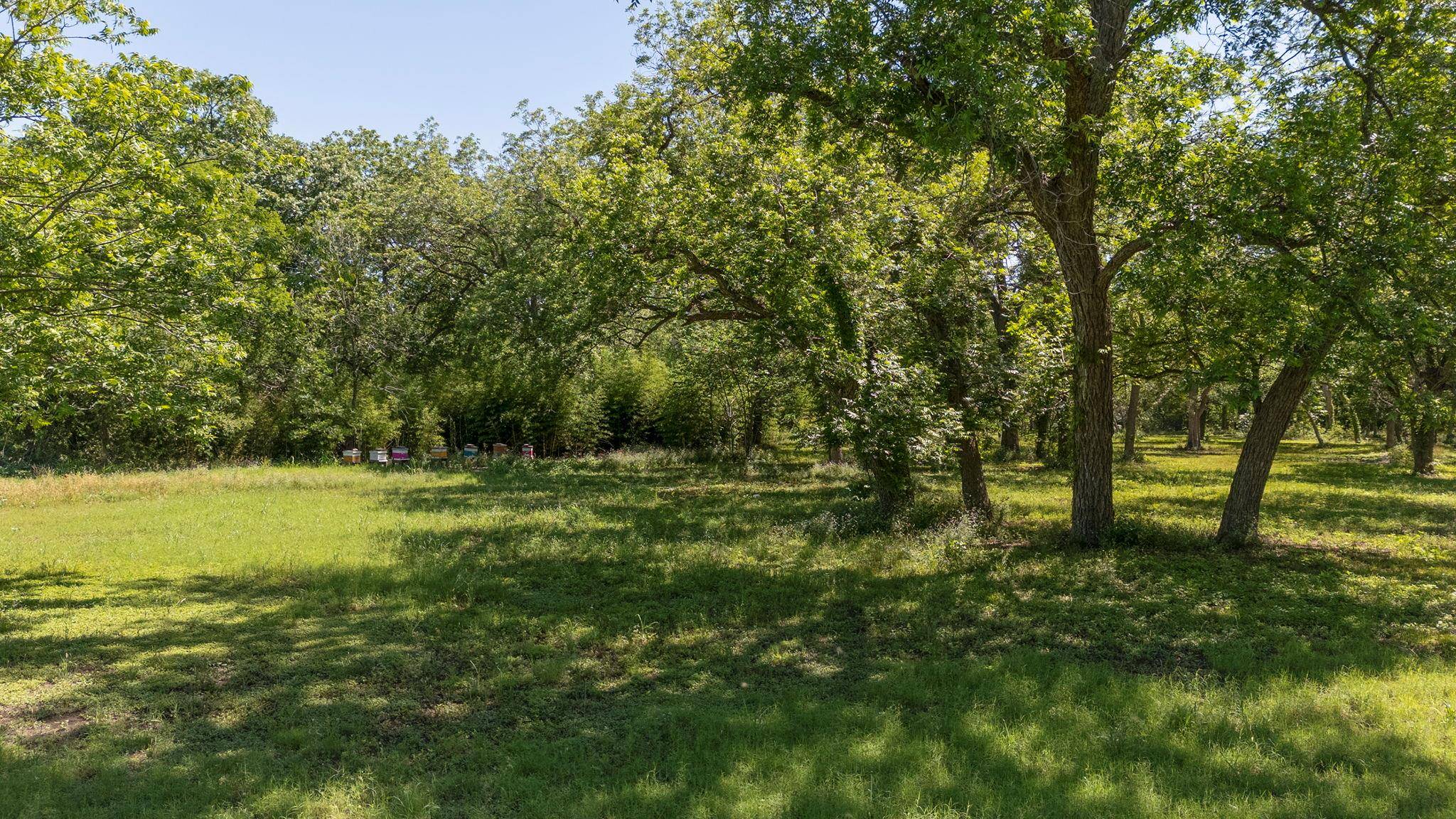 Hutto, TX 78634,451 County Road 129