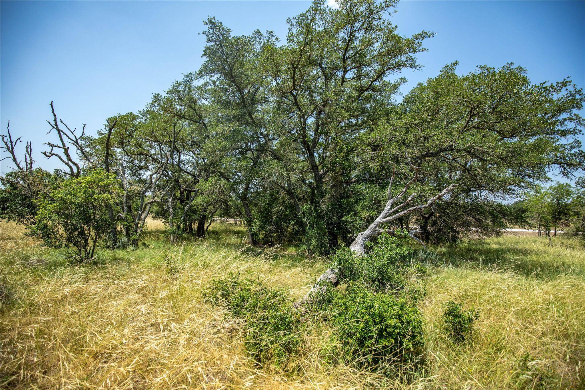 Center Point, TX 78010,137 Steel Creek CRST