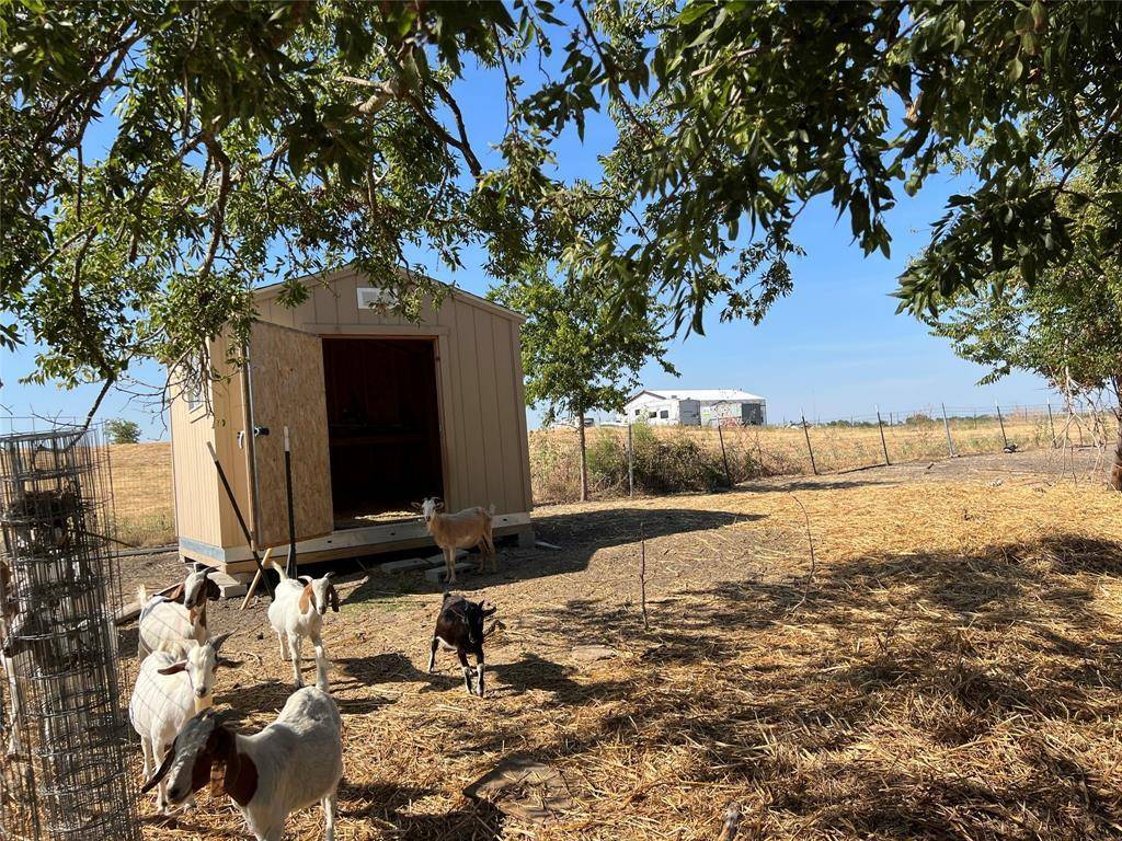 Thrall, TX 76578,7250 FM 112