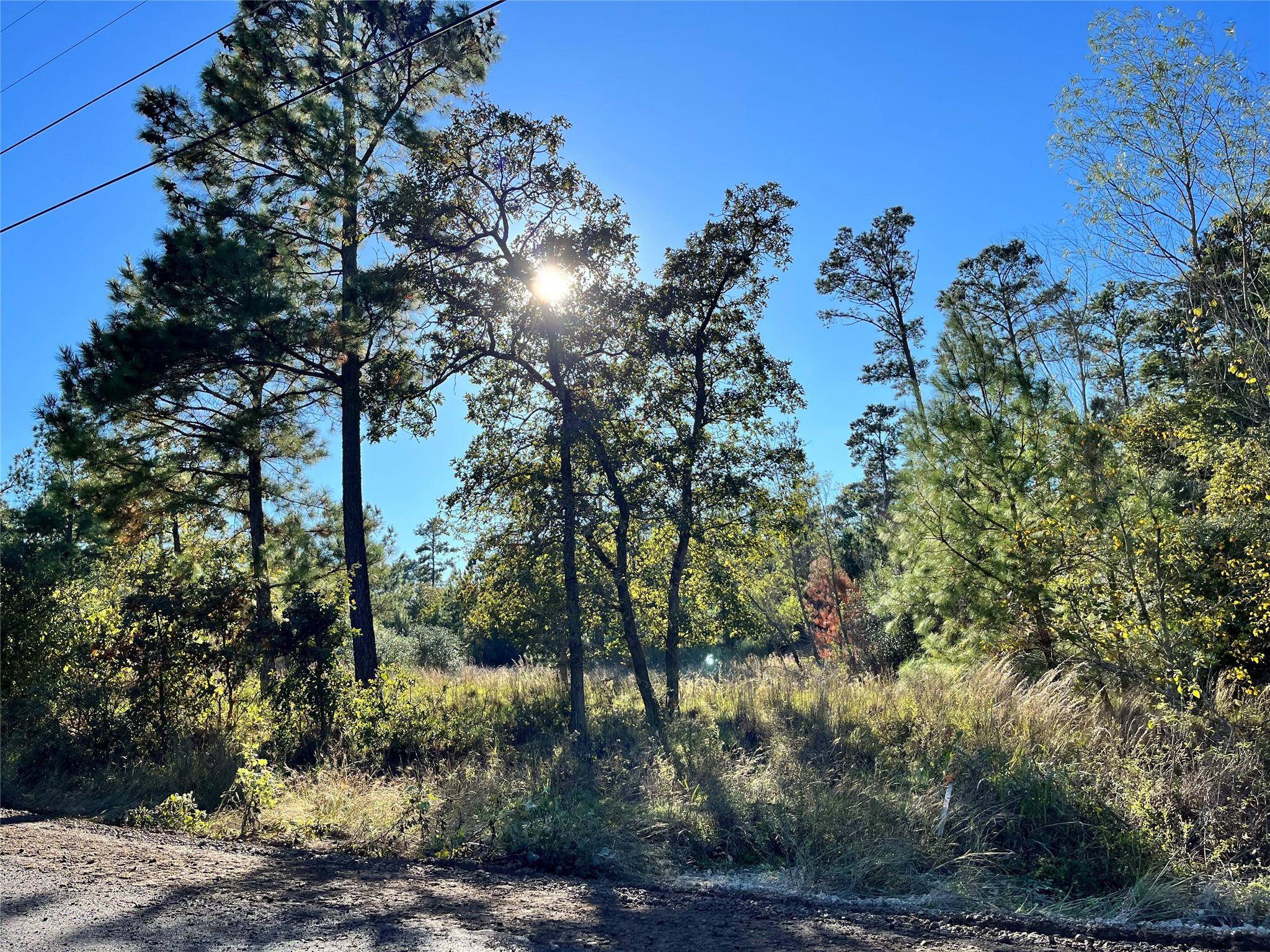 Bastrop, TX 78602,Lot 1511 Haleakala LN