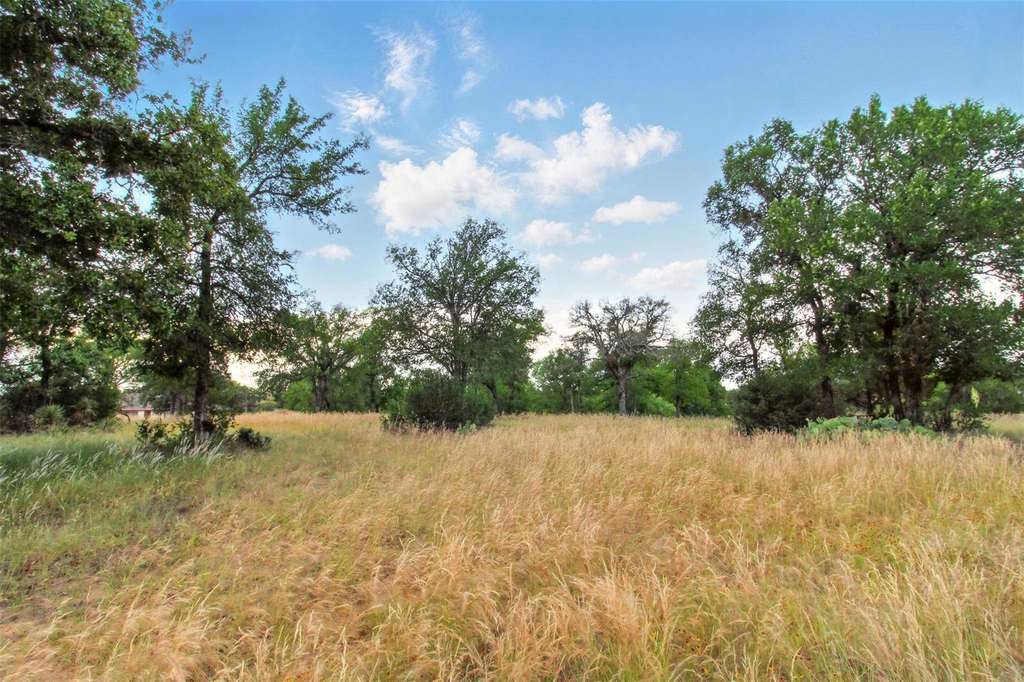 Kingsland, TX 78639,Lot 205 Skyline DR