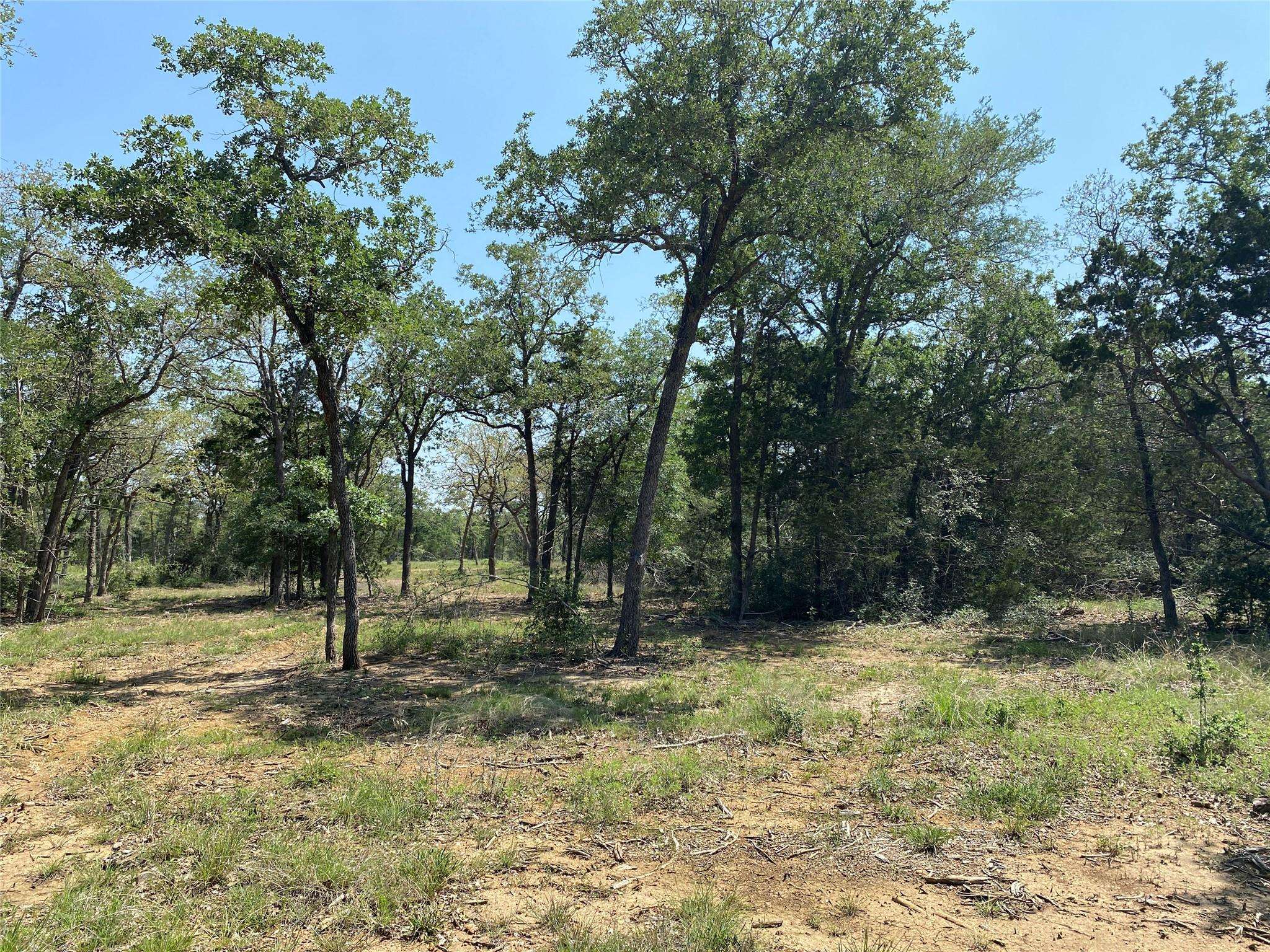 Smithville, TX 78957,TBD High Crossing Rd - TRACT 7