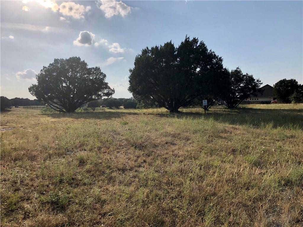 Liberty Hill, TX 78642,112 Quiet Oak CV