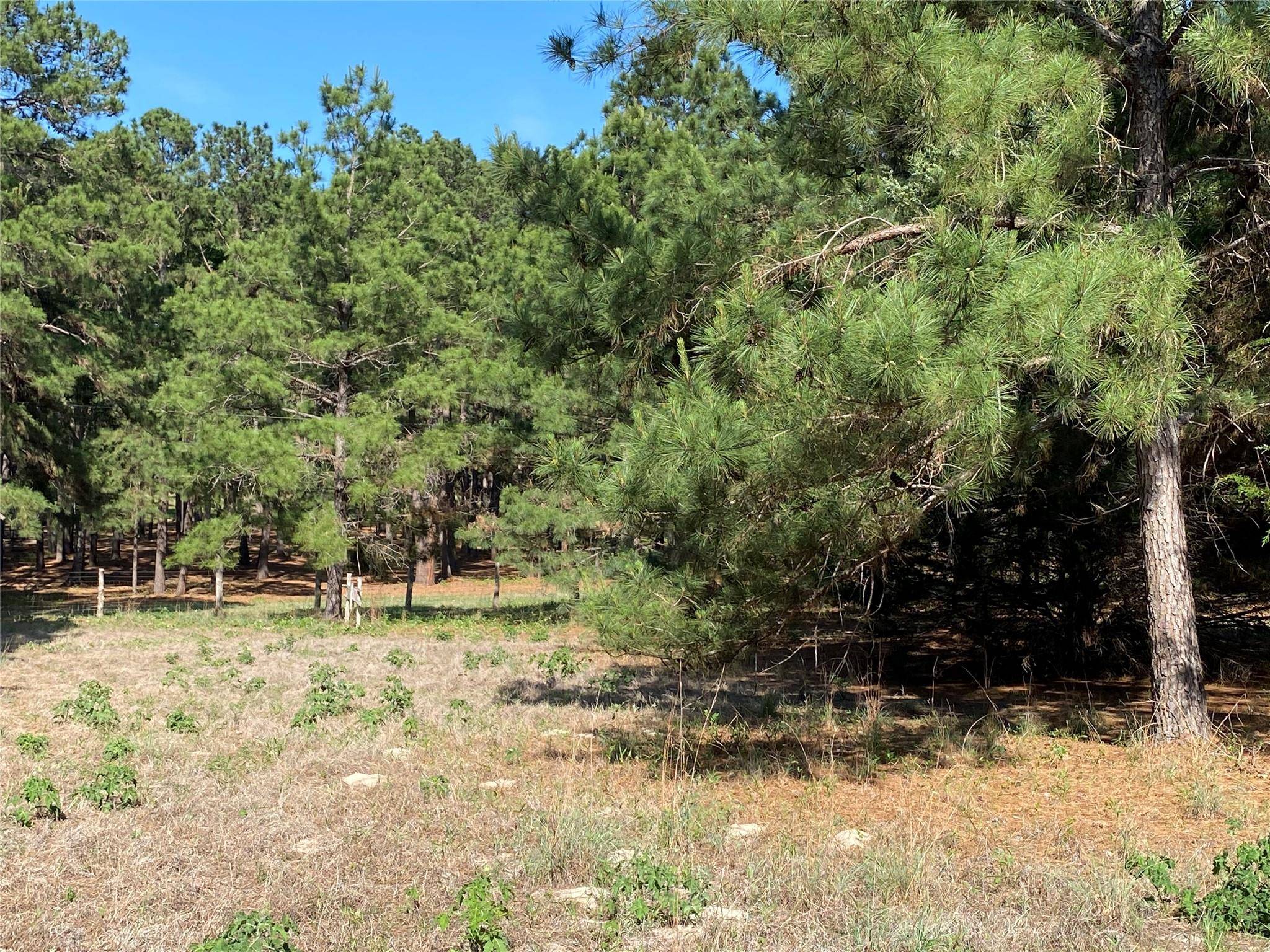 Bastrop, TX 78602,147 Oak Leaf DR