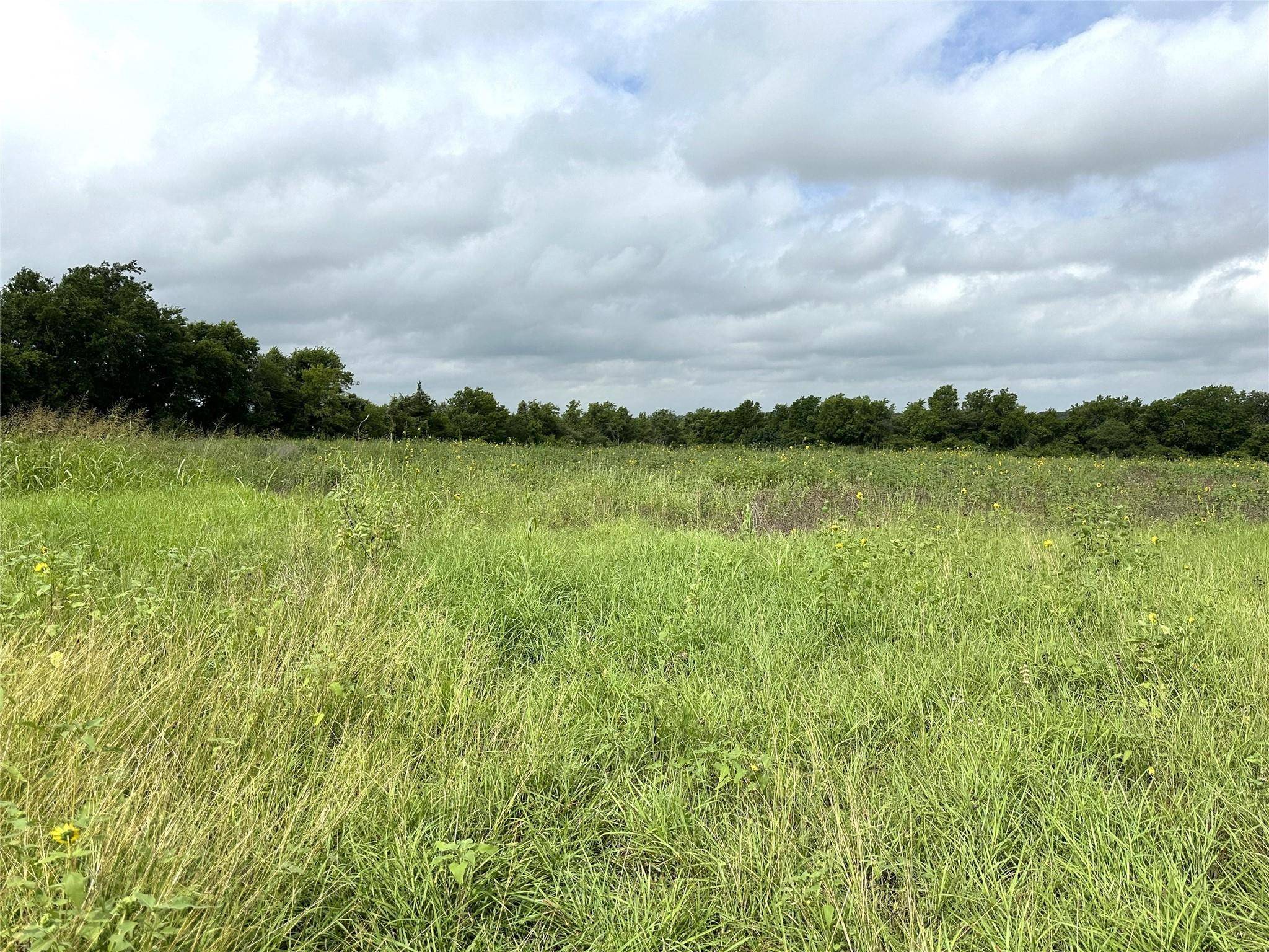 Round Top, TX 78954,TBD TX 237