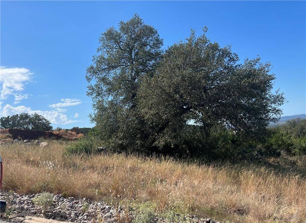 Buchanan Dam, TX 78609,Lot 23-A Sierra BLF