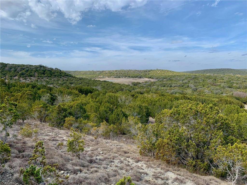 Bertram, TX 78605,105 Woodhollow DR