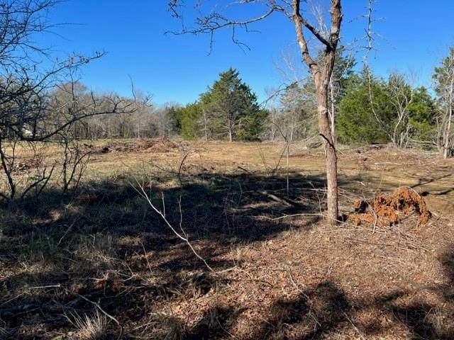 Paige, TX 78659,000 Grassyville RD