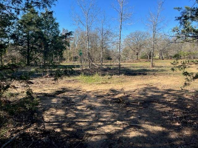 Paige, TX 78659,000 Grassyville RD