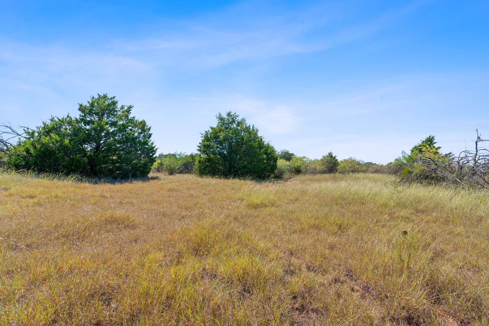 Dale, TX 78616,Lot 3 Tumbleweed TRL