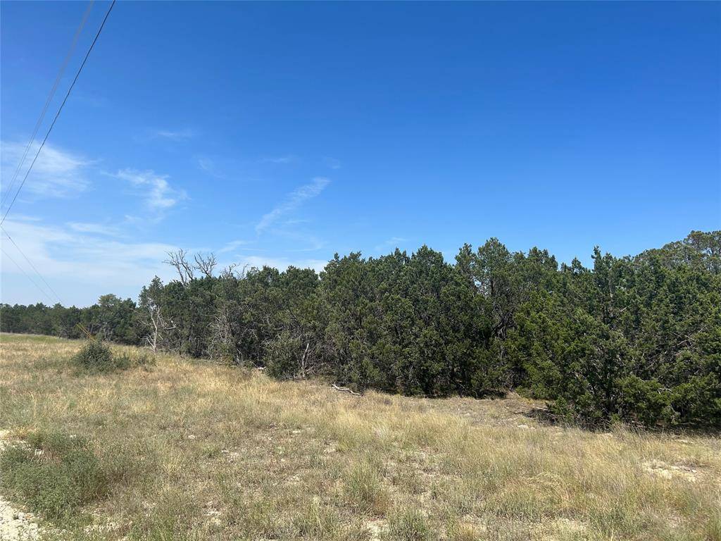 Evant, TX 76525,TBD PR 4219 Lot 94