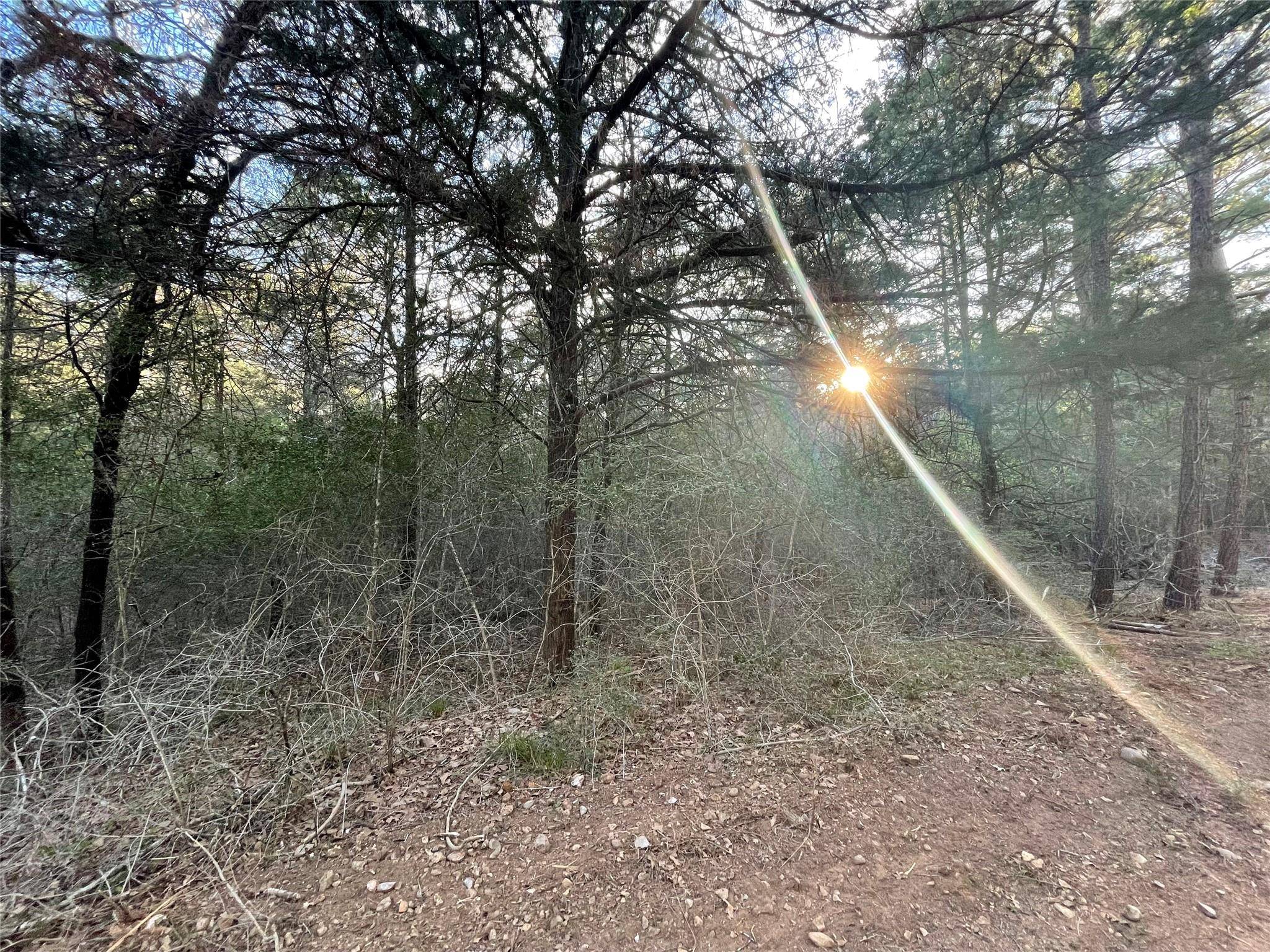 Bastrop, TX 78602,LOT 1305 Hanauma DR