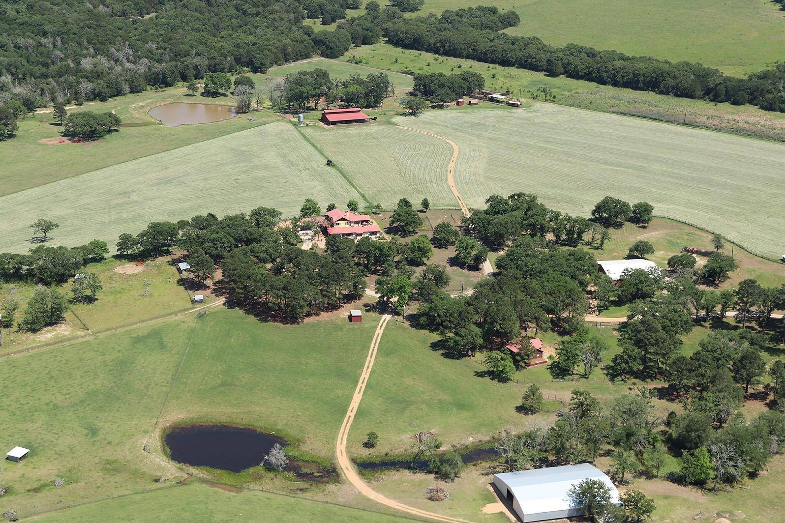 Paige, TX 78659,363 Paint Creek South RD #A