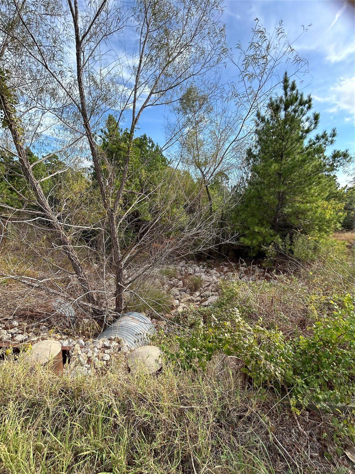 Paige, TX 78659,TBD Jim Bowie DR