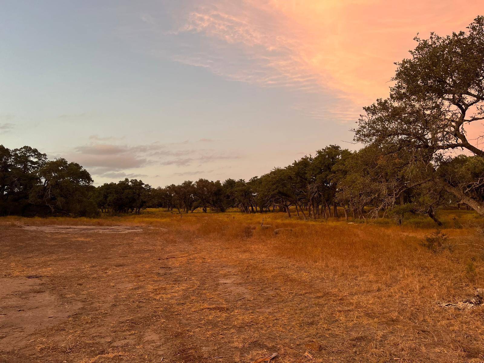 Burnet, TX 78611,TBD Lot 9 County Road 340