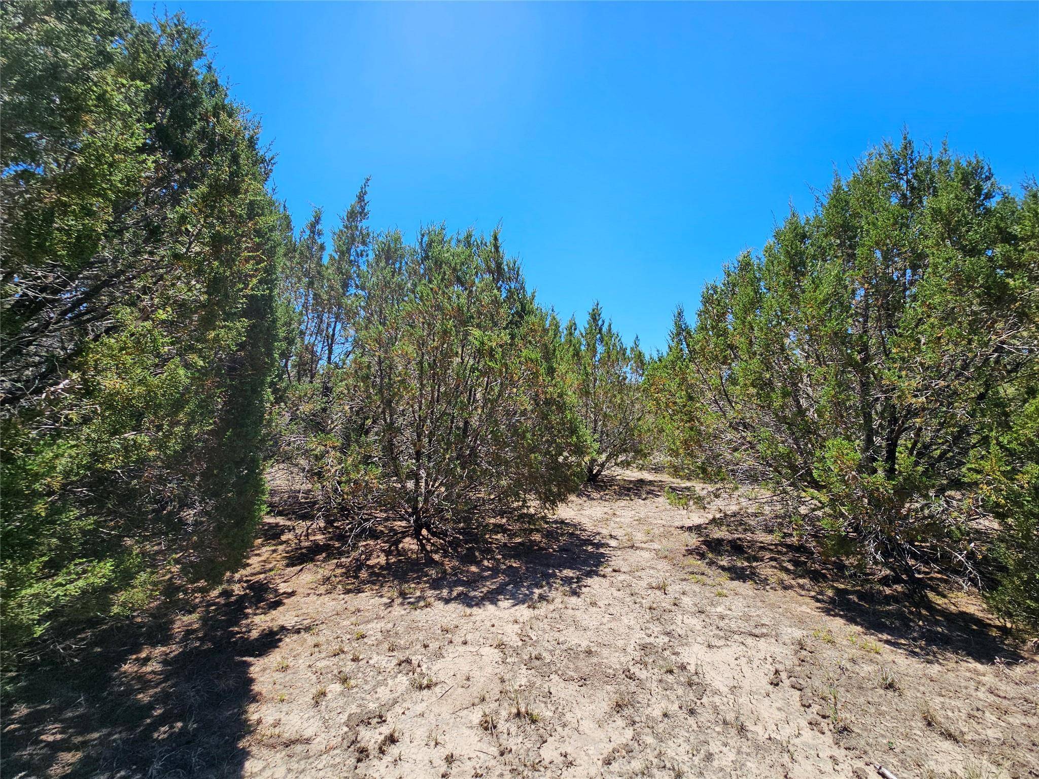 Lampasas, TX 76550,Lot 25 Alta Vista DR