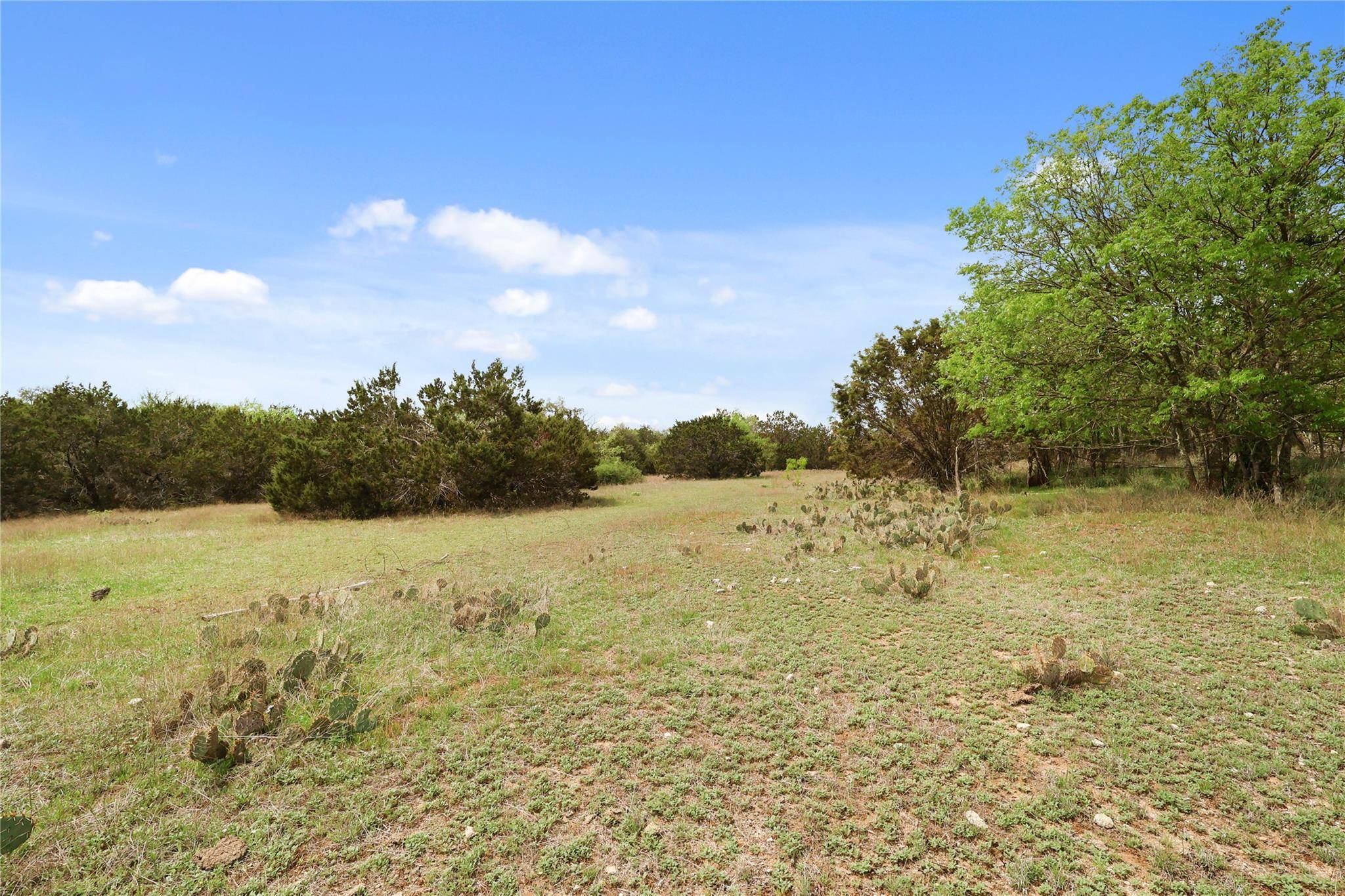 Leander, TX 78641,1371 County Road 281