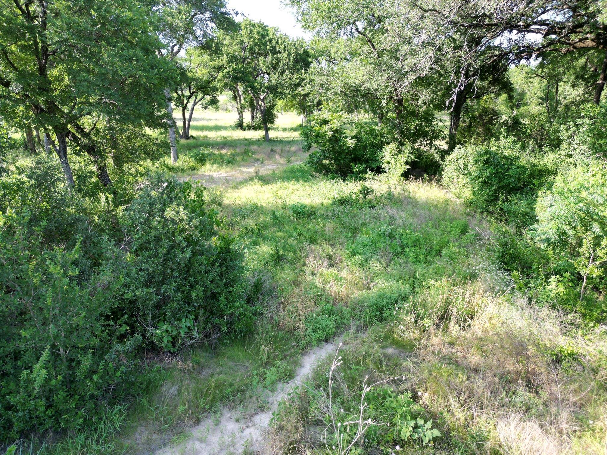 Liberty Hill, TX 78642,216 Serenity DR