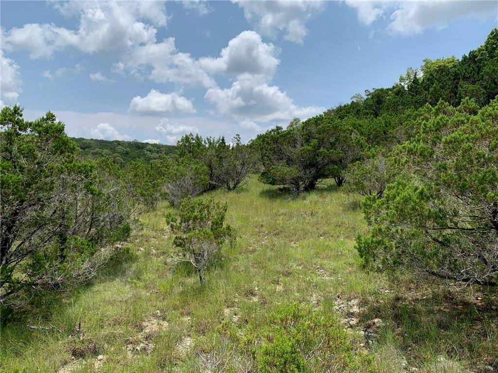 Bertram, TX 78605,Lot 176-B Suncrest TRL