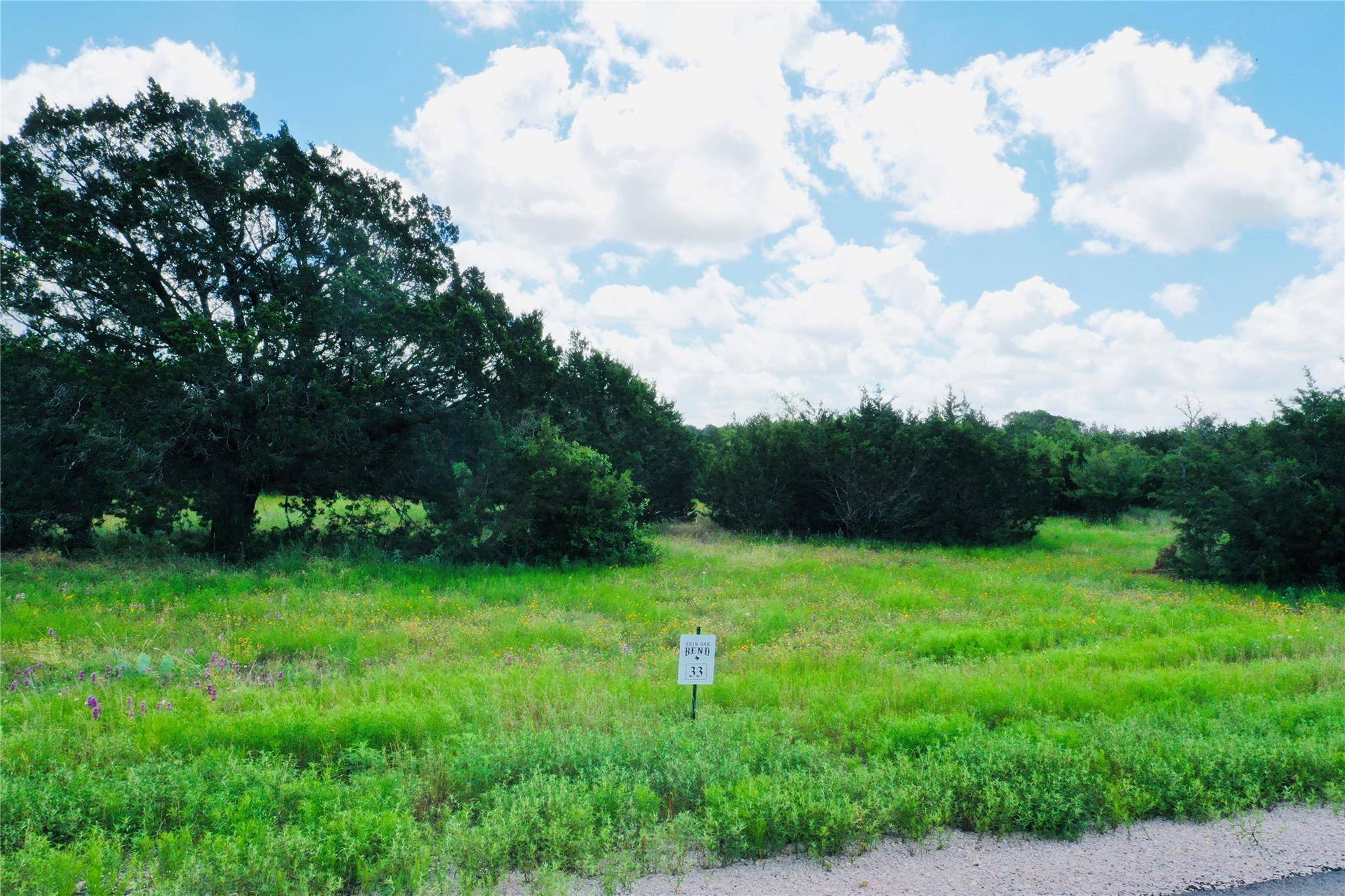 Bertram, TX 78605,Lot 33 Riparian Elm RD