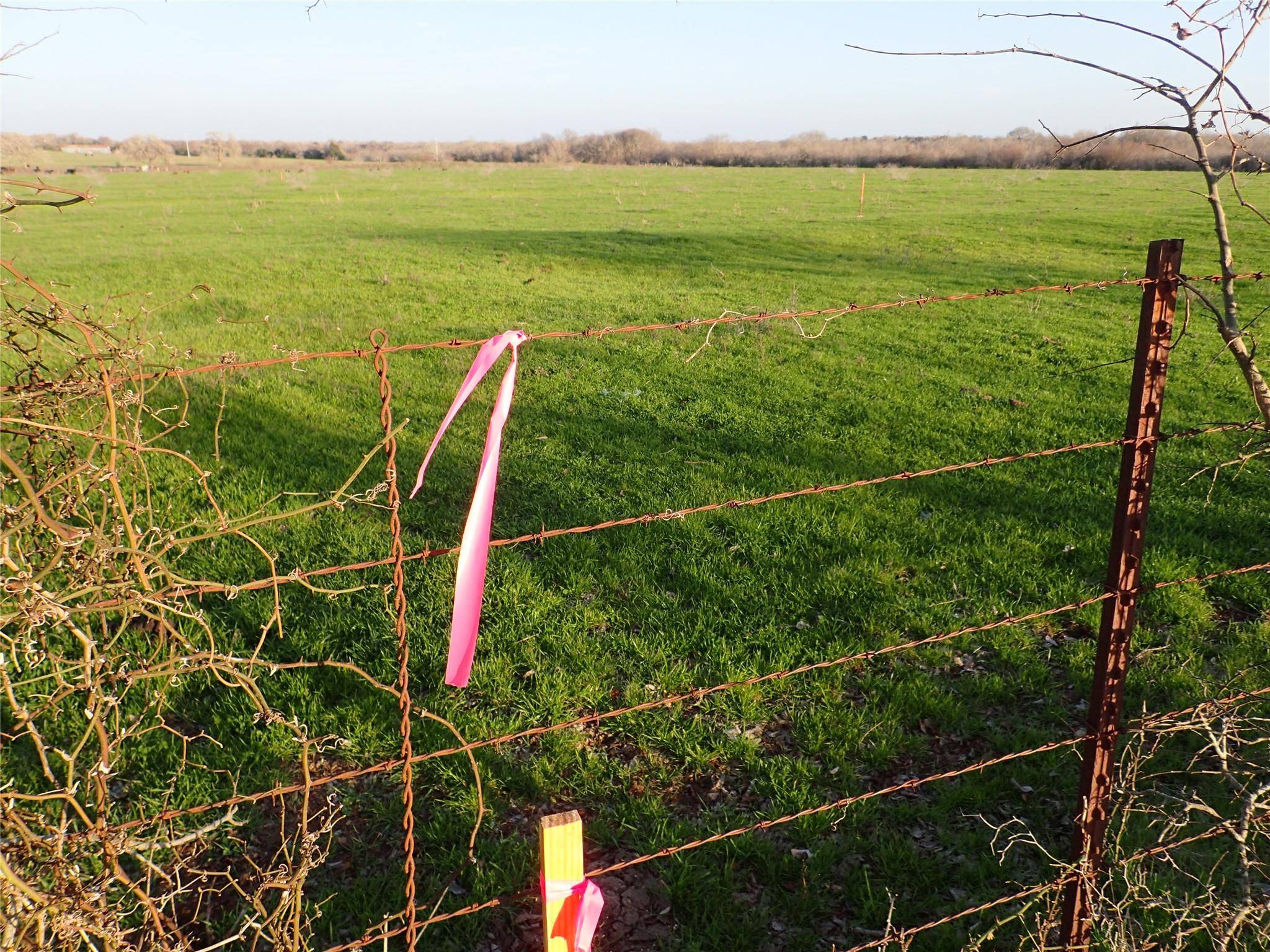 Waelder, TX 78959,13.5ac FM 1296