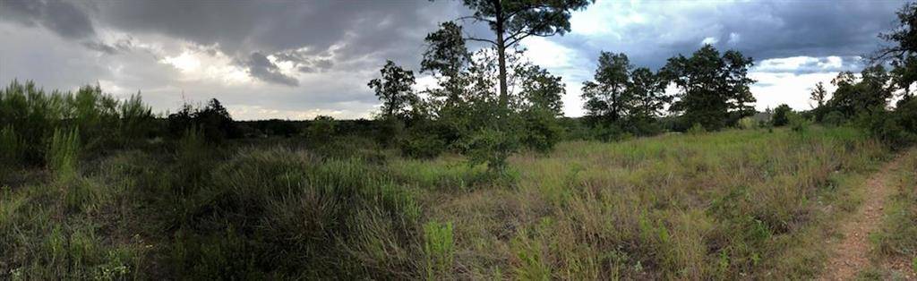 Smithville, TX 78957,174 Hidden Bluff