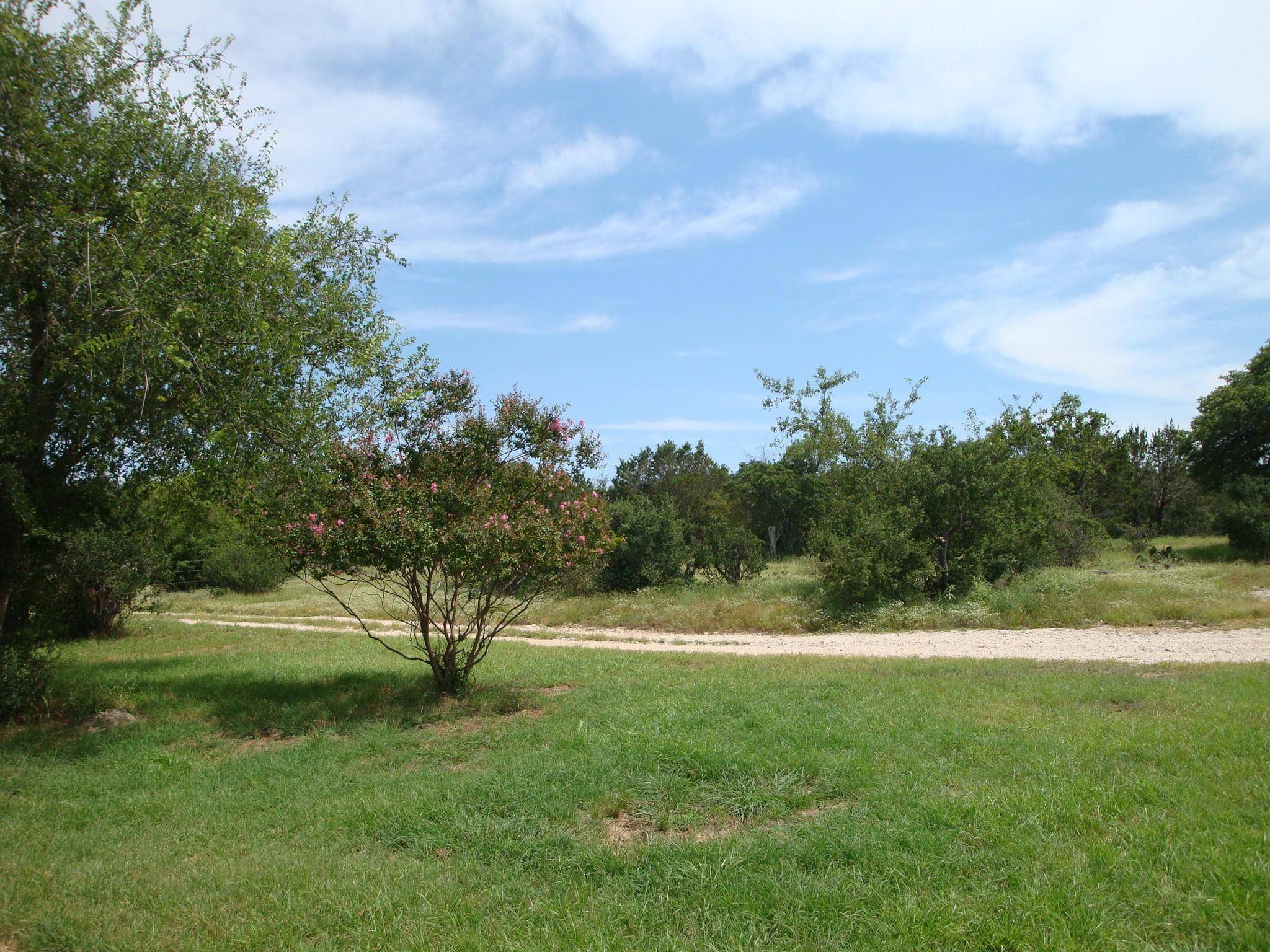 Johnson City, TX 78636,1619 Althaus Ranch RD