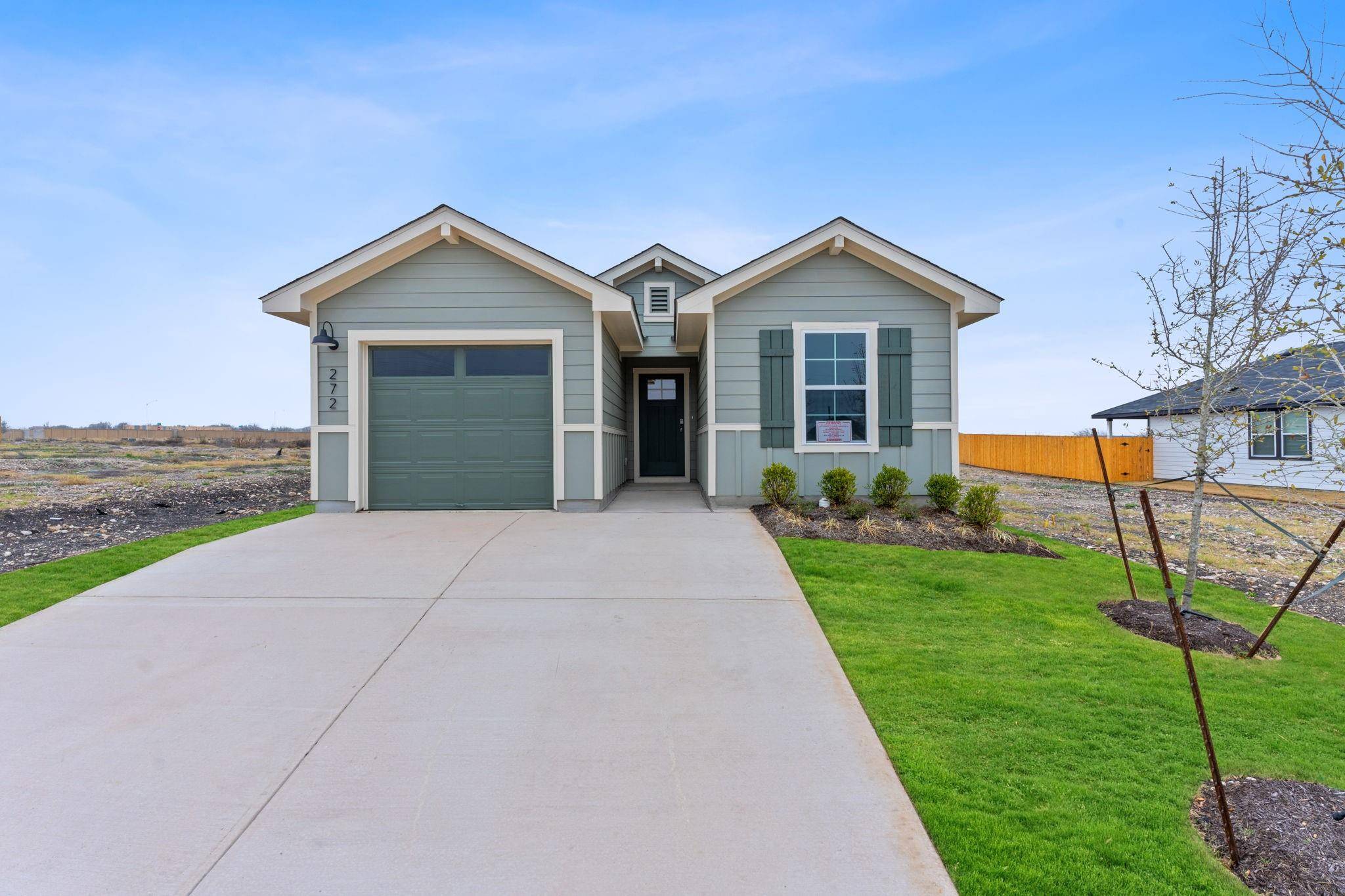 Uhland, TX 78640,272 Celosia LOOP