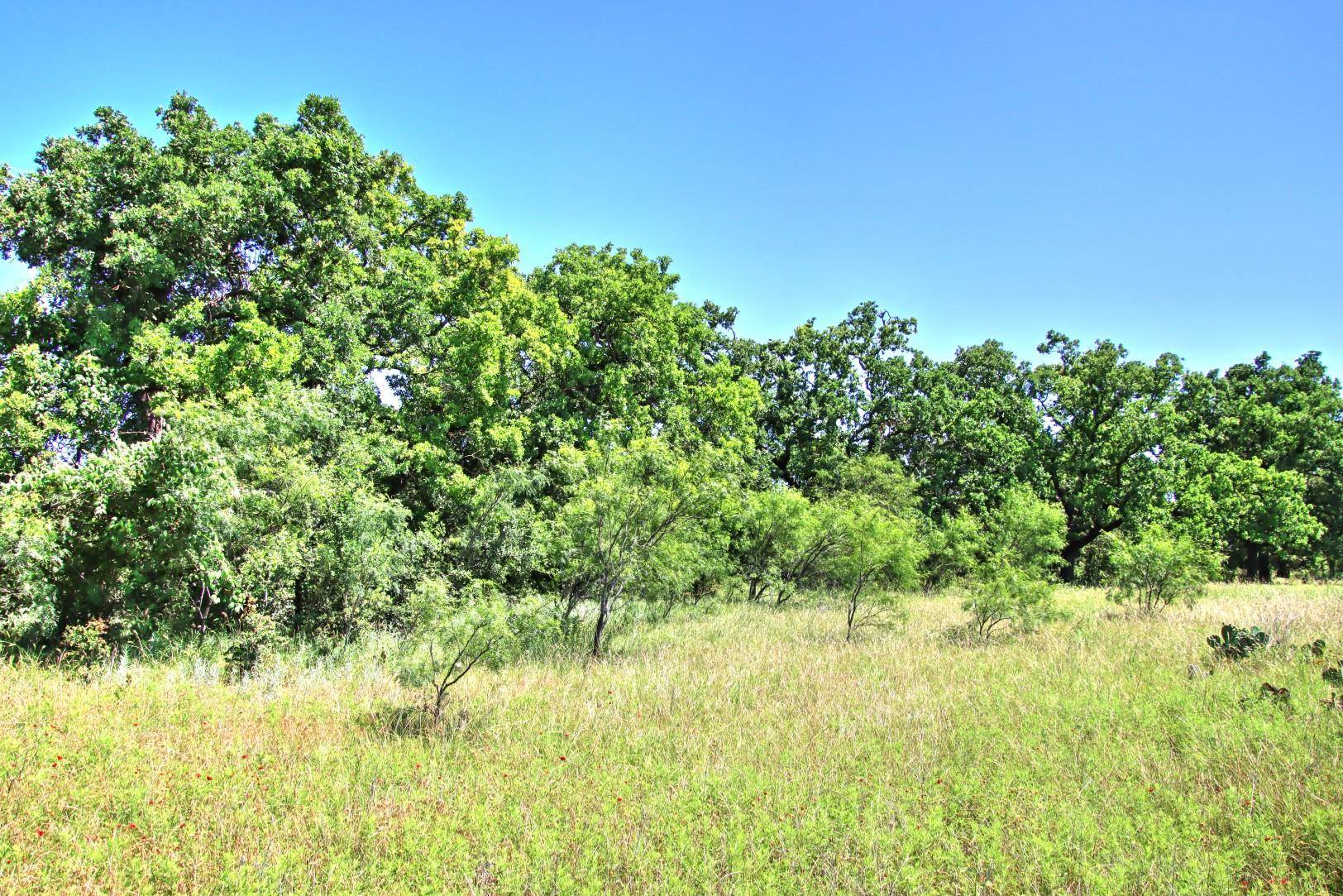 Willow City, TX 78675,Lot 5 RM 1323