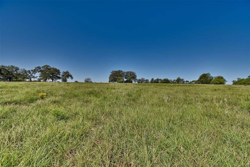 Red Rock, TX 78662,1-25 (2 Acres) Starlight Path