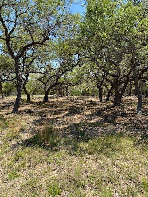 Canyon Lake, TX 78133,1118 Rebeccas WAY