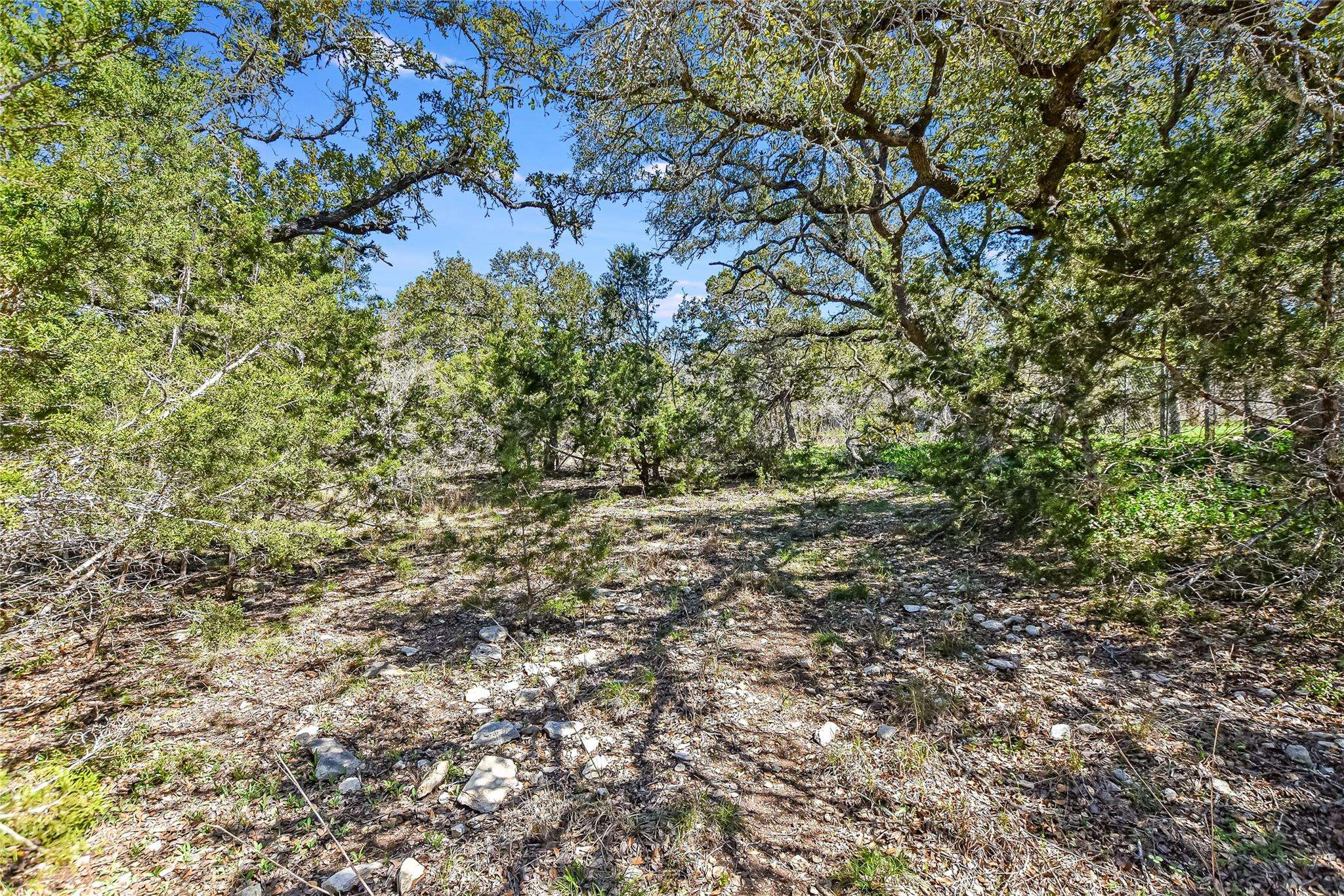 Wimberley, TX 78676,810 Sandy Point RD