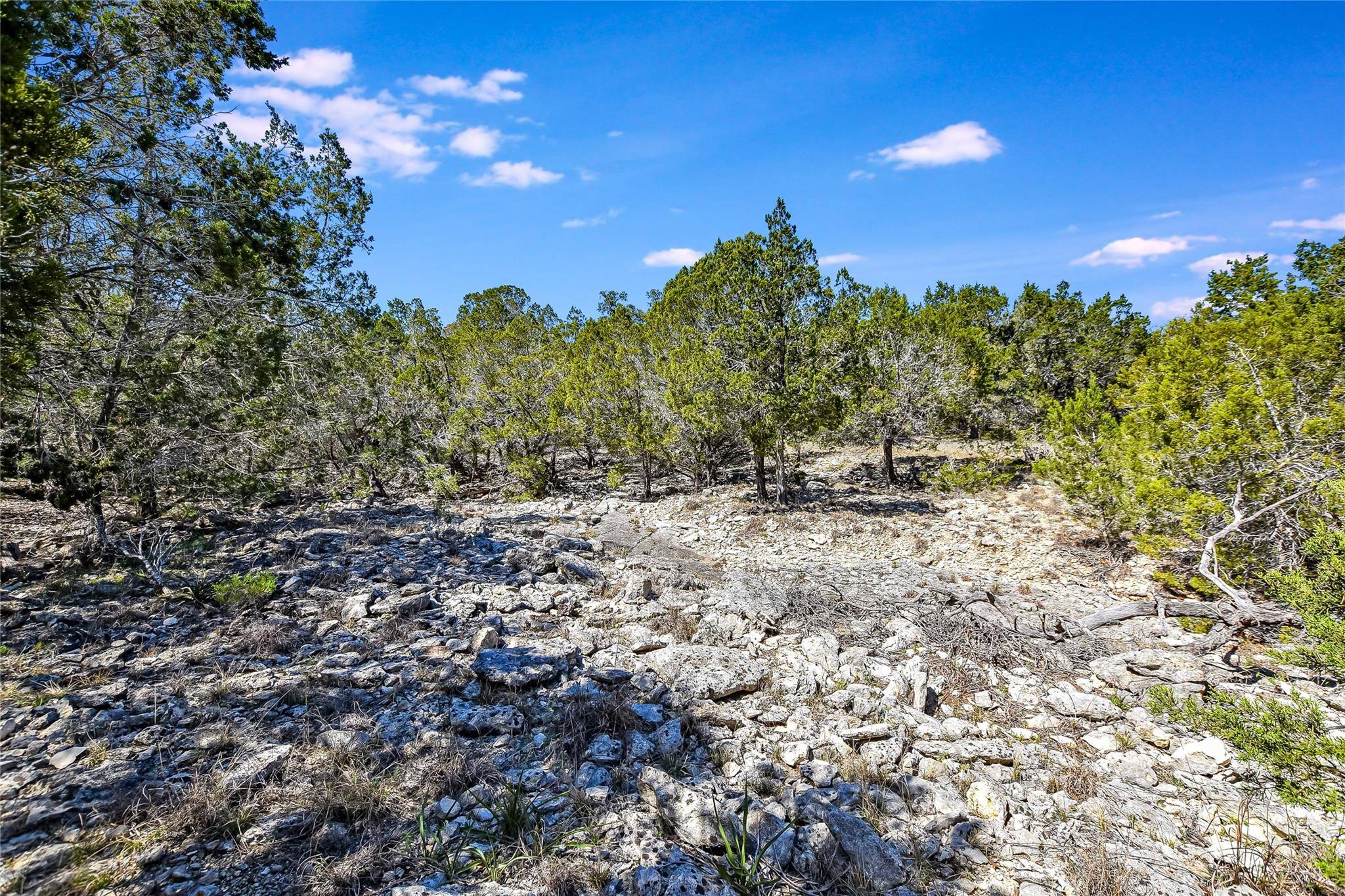 Wimberley, TX 78676,810 Sandy Point RD