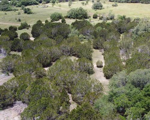 Bertram, TX 78605,LOT 21 Rosebud Ranch RD